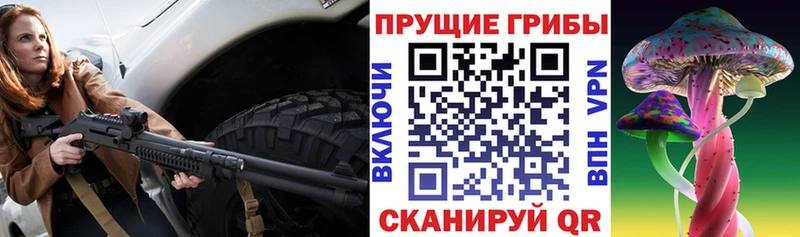 Галлюциногенные грибы Magic Shrooms  Купить закладки  Буй 